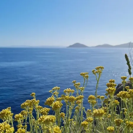 La Casina Di Redinoce Apartament Marciana (Isola d'Elba)